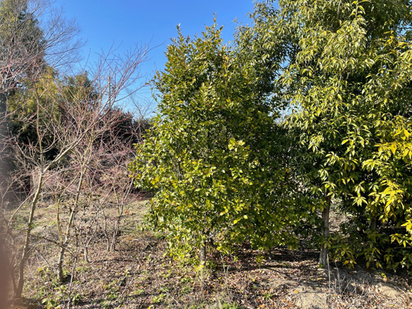 貸別荘ビジネスモデルの種類ごとの仕組み 